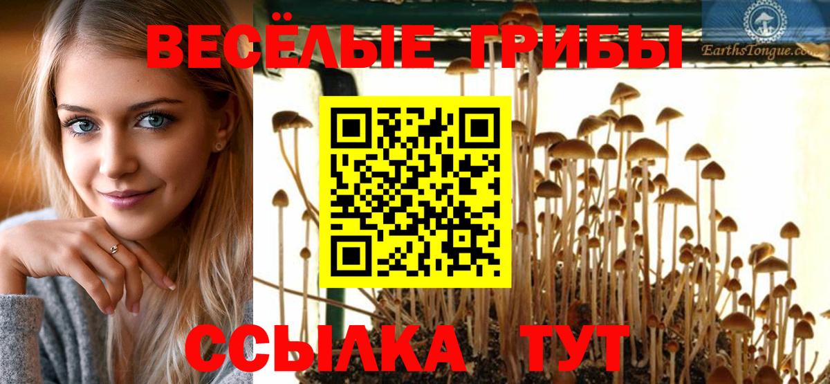 Псилоцибиновые грибы Magic Shrooms  Галлюциногенные грибы ЛСД  Вход с VPN  Междуреченск 
