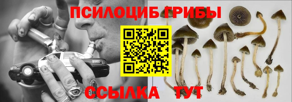 Галлюциногенные грибы ЛСД Междуреченск
